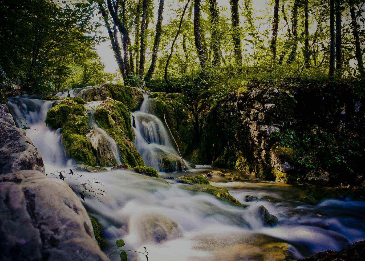 Imagen de un valle donde se ve una cascada de agua rodeada de árboles con hojas verdes, entre cuyas ramas entran los rayos de sol. Todo ello acompañado de una débil niebla.
